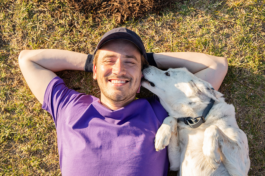 这是另一种文本